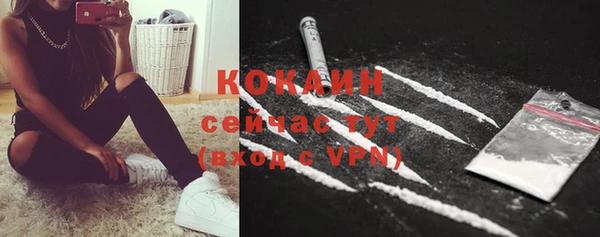 спайс Арсеньев