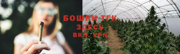 спайс Арсеньев