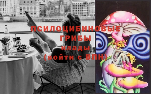 спайс Арсеньев
