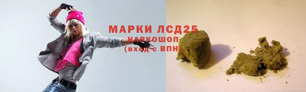 спиды Аркадак