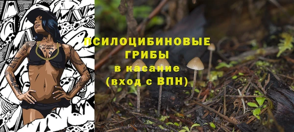 спиды Аркадак