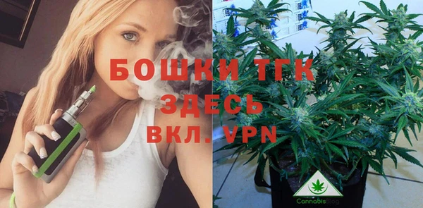 спайс Арсеньев