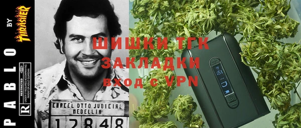 спайс Арсеньев