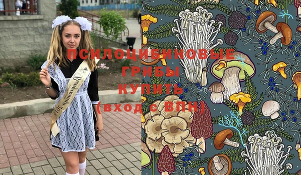 спиды Аркадак
