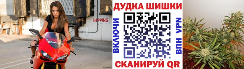 Каннабис план  Иноземцево 